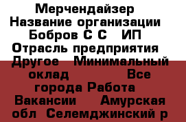 Мерчендайзер › Название организации ­ Бобров С.С., ИП › Отрасль предприятия ­ Другое › Минимальный оклад ­ 17 000 - Все города Работа » Вакансии   . Амурская обл.,Селемджинский р-н